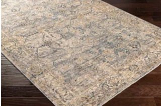 ALFOMBRA ASPENDOS 152X225 - laalfombreria