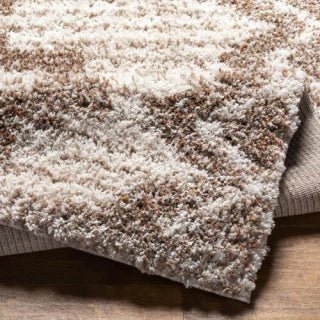 ALFOMBRA CAPELLA SHAG 3 160X213 - laalfombreria