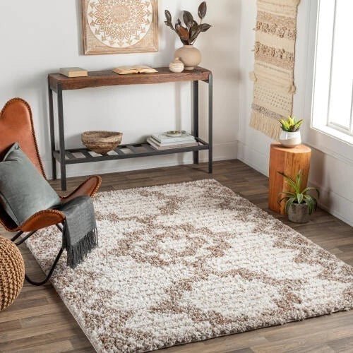 ALFOMBRA CAPELLA SHAG 3 160X213 - laalfombreria