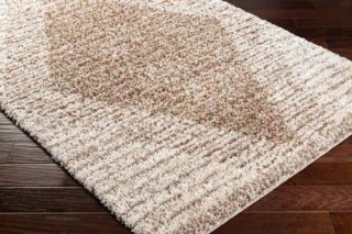 ALFOMBRA CAPELLA SHAG BEIGE 160X213 - laalfombreria