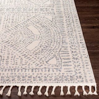 ALFOMBRA EUPHORIA 200X275 - laalfombreria