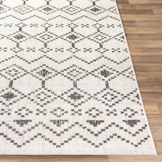 ALFOMBRA POLIPROPILENO ETNIC 160X230 - laalfombreria